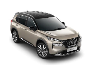 STRIEBORNÁ CHAMPAGNE (XEW)